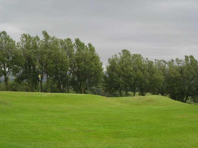 A view of the tree lined 5th green at Brookdale golf course