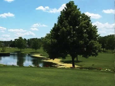 A view from East Course at Chicago Heights Park District (E.D. Sieruga)