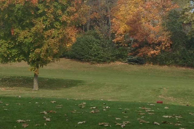 A fall view from Apple Valley Golf Course (Pam Peterson)