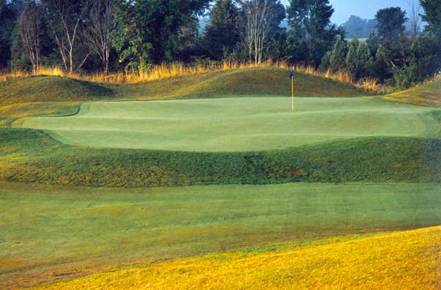 Oliver's Nest: 11th green