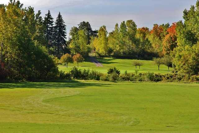 View of a green and fairway at Inkster Valley Golf Club