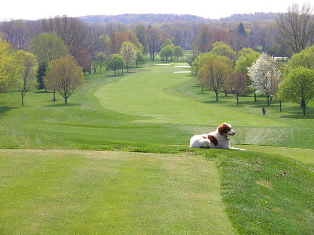 A view of a fairway and the club's mascot "Bunker" at Turkeyfoot Lake Golf Links
