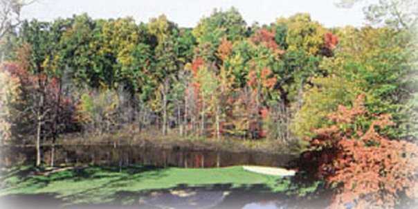 A fall view of one of the 18 holes at Lake Doster Golf Club