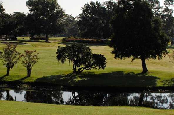 A view from Sunkist Country Club