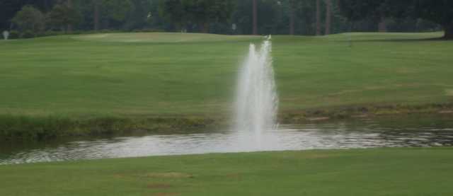 A view of green at Sunkist Country Club