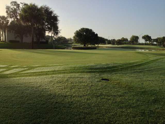 A view of the 9th green at Vista Plantation Golf Course