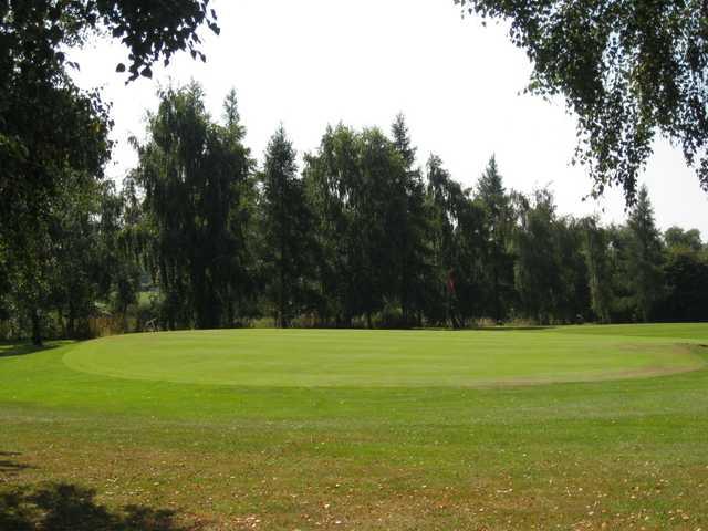 The 16th green and surrounding trees at Mile End Golf Club