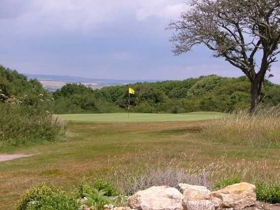 A view over the 11th green as seen at Came Down Golf Club. 