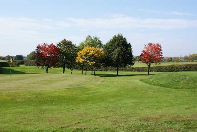 Greenside view at Sutton Hall Golf Club