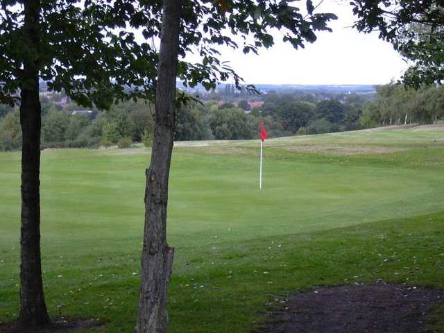 View through the trees to a green at Bulwell Forest