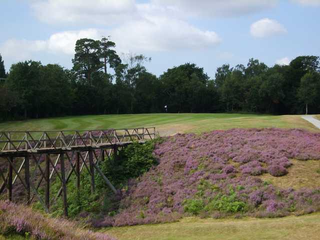 The 9th green at Addington Golf Club