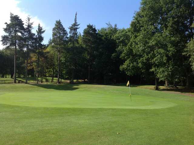 View of the 1st green and beautiful surrounding trees at Westerham Golf Club