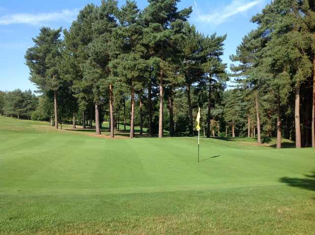 Scenic view of the 6th green and stunning trees at Westerham Golf Club