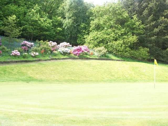 View from Otley GC