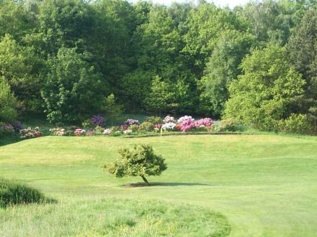 View from Otley GC