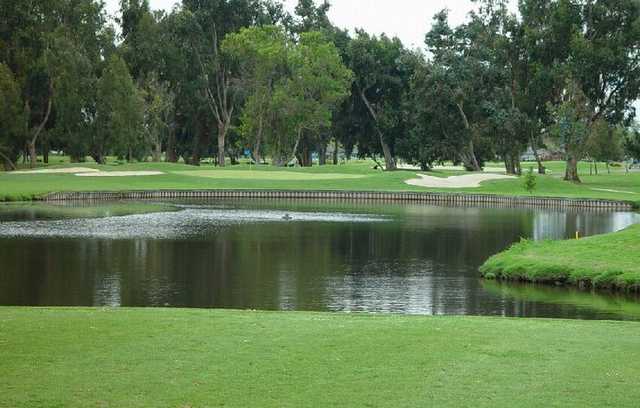 A view of a green with water in foreground at Corica Park.