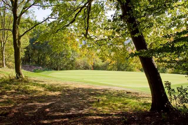 The 6th green as seen through the trees at Chartridge Park Golf Club