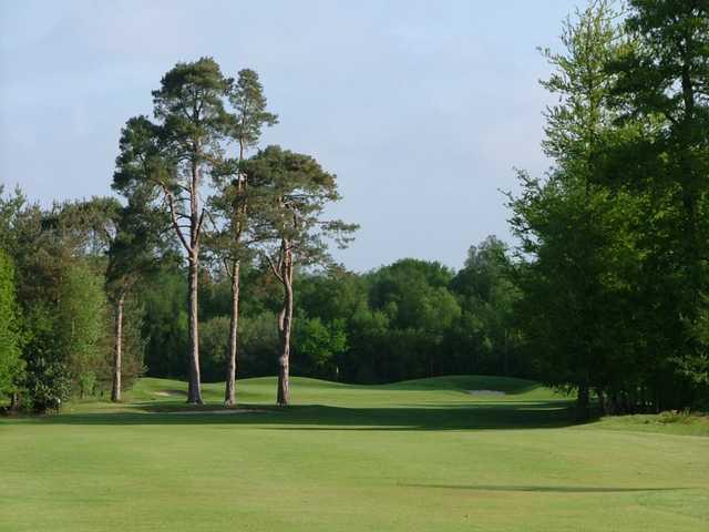 The 11th hole and large trees at Chartham Park Golf Club