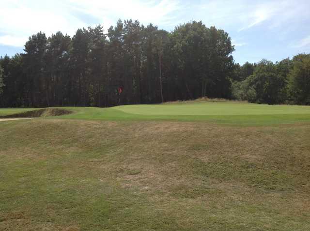 Brokenhurst Golf Course: 1st green