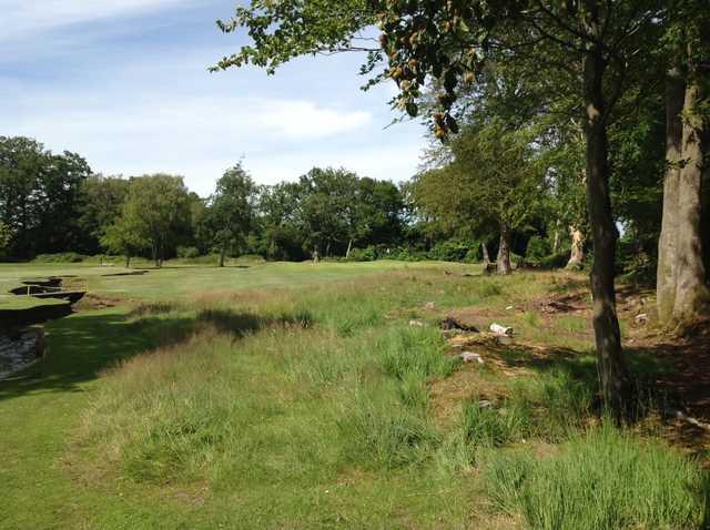 2nd green on the Brokenhurst Manor Golf Course