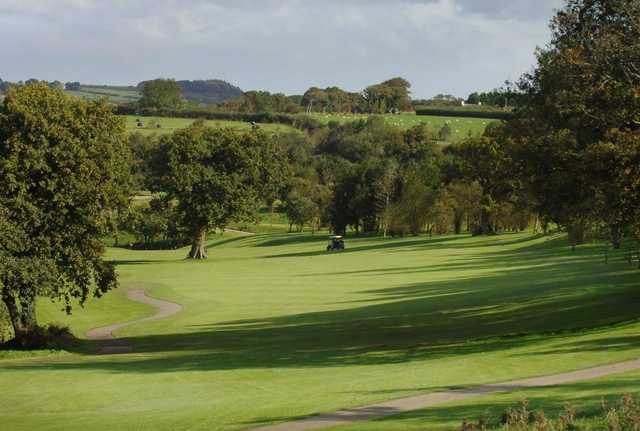 #6 at Trethorne GC