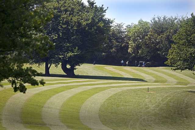 Fairway at Bryn Meadows