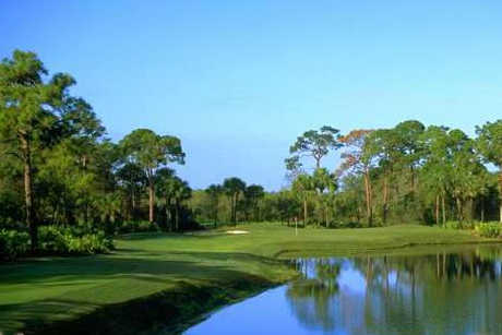 A view from Gator Course at Pelican's Nest Golf Club