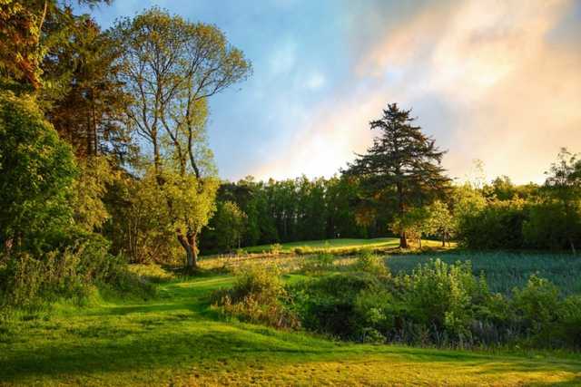 The Linden Hall parkland surroundings