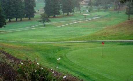 A view of a green from Tilden Park Golf Course.