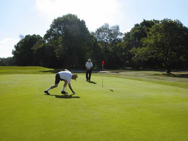 Superb putting greens at Bushey Hall Golf Club 
