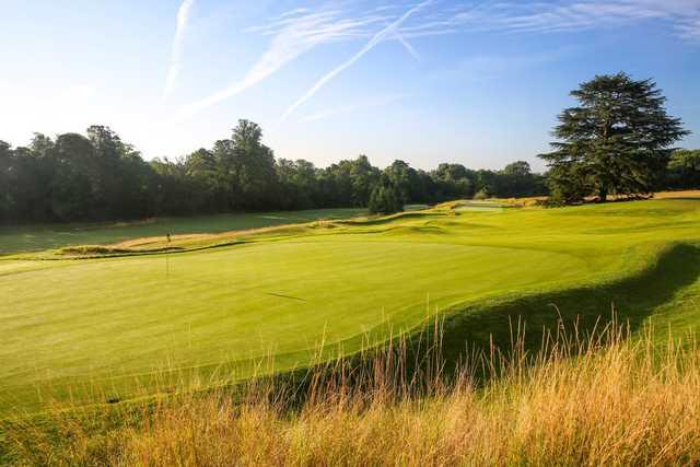 The 16th green at The Grove