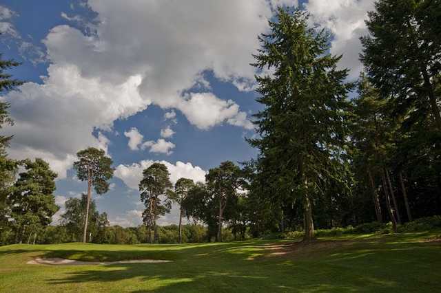 The tree-lined and bunker-guarded 11th hole on the Bernard Hunt 