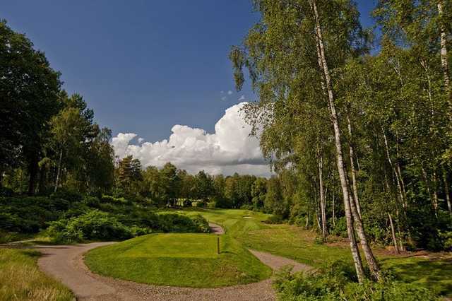 The raised tee on the 8th hole of the Bernard Hunt Course