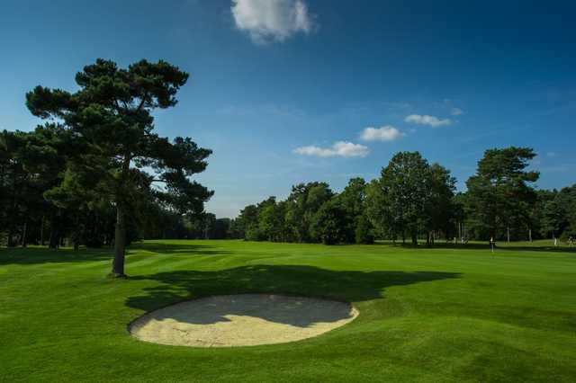 The well manicured greens at Pine Ridge