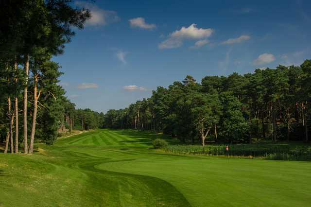 The large greens at Pine Ridge will test your short game
