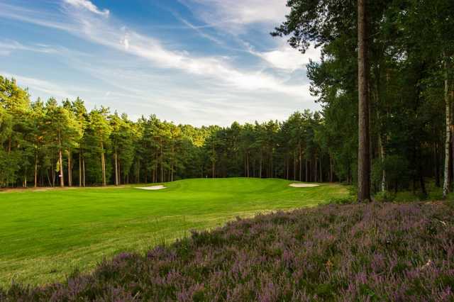 Overshooting the green will land you in the woodland surroundings