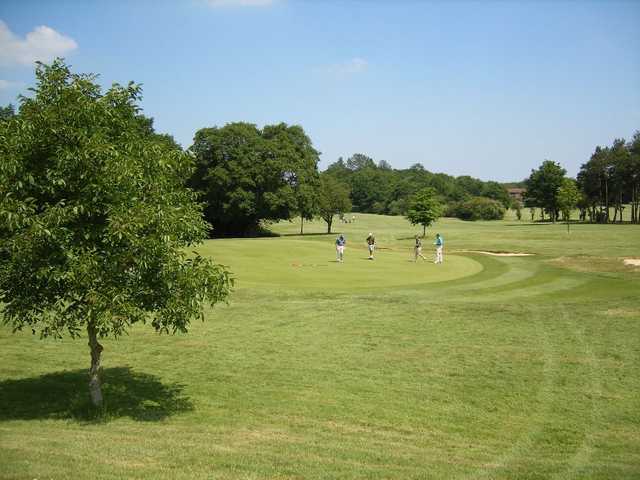 Leatherhead Golf Club fantastic greens