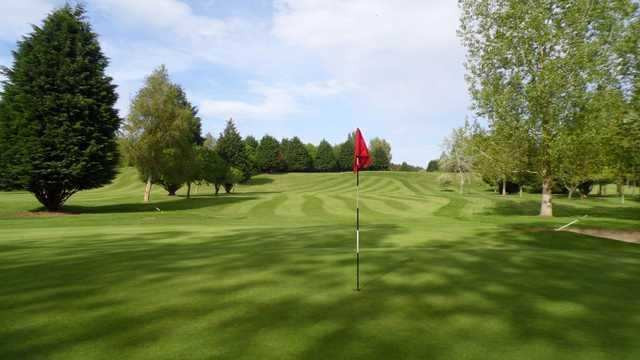 A look back from the green at The Hirsel Golf Club.