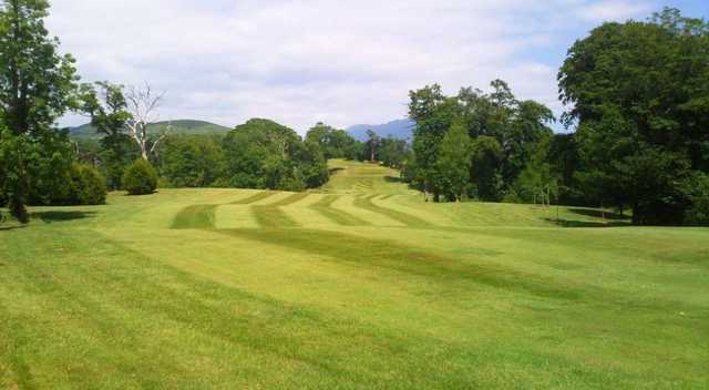 One of Kilkeel Golf Course's many undulating tree-lined fairways