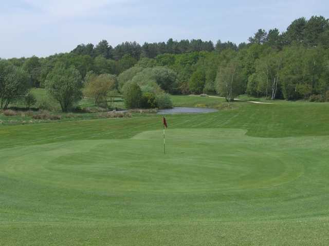 A view over the manicured 15th green at Wareham Golf Club