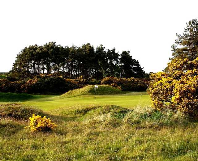 View from Panmure GC