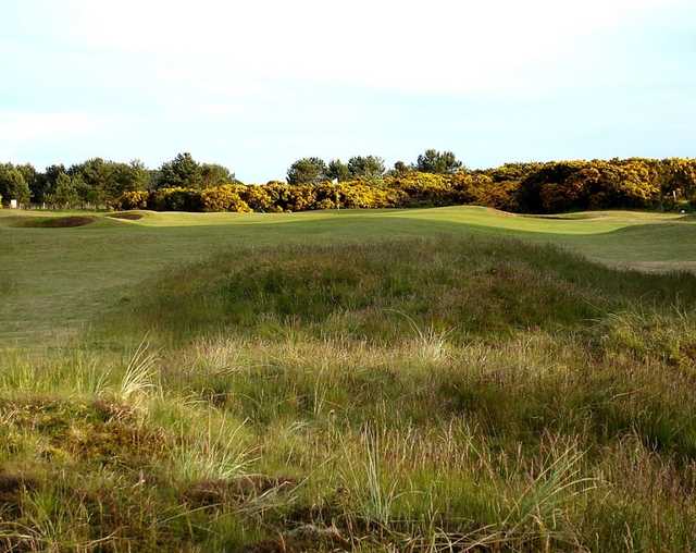 View from Panmure GC