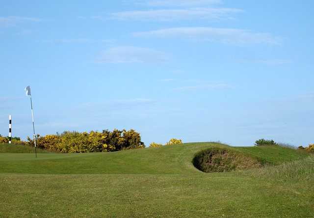 View from Panmure GC