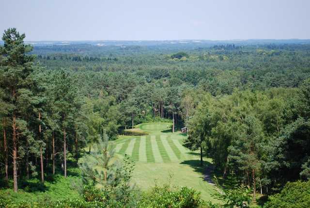 Stunning view of the 5th hole with a forest backdrop 