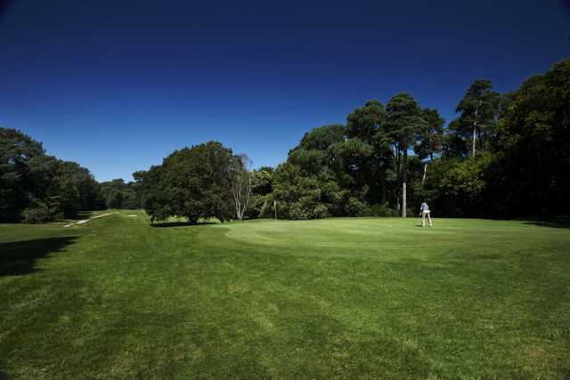 The outstanding natural beauty you will find at Meyrick Park Golf Club