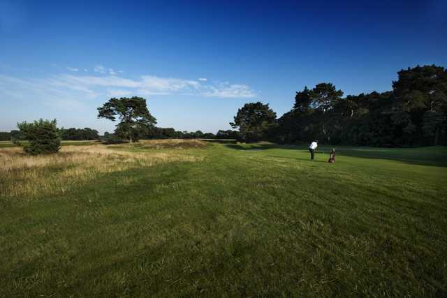 The beautiful layout of Meyrick Park Golf Club