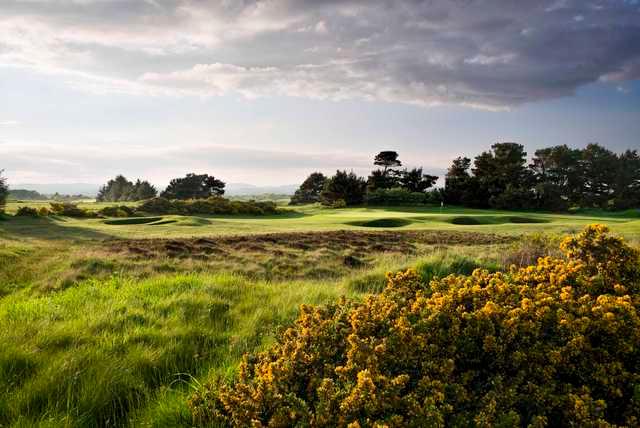 An example of the great bunkering at Irvine Bogside