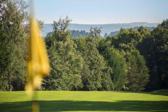 View from Bulbury Woods