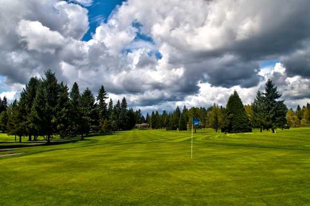 Looking back from a green at The Cedars on Salmon Creek