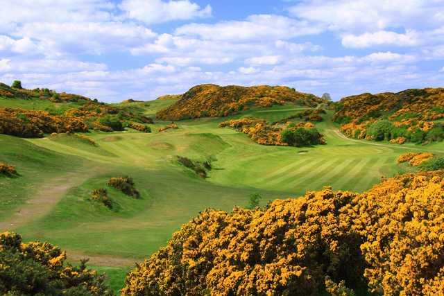 Hilly gorse crags of Braid Hills